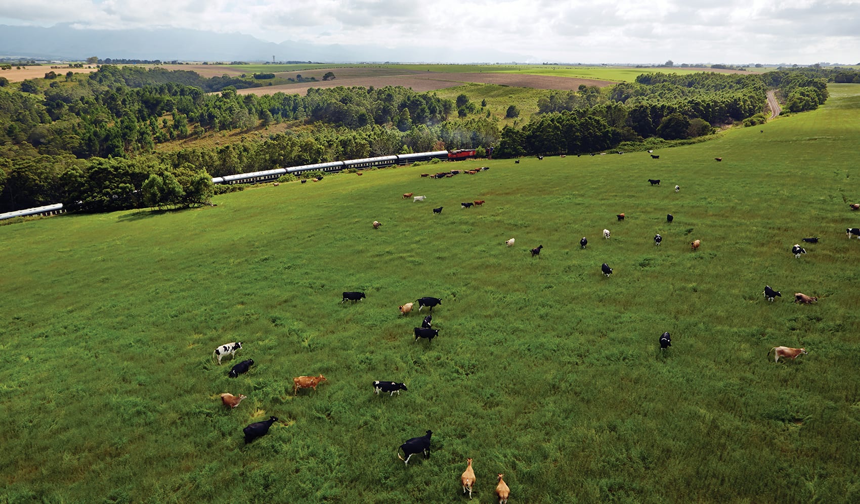 Durban Safari Tour By Rovos Rail