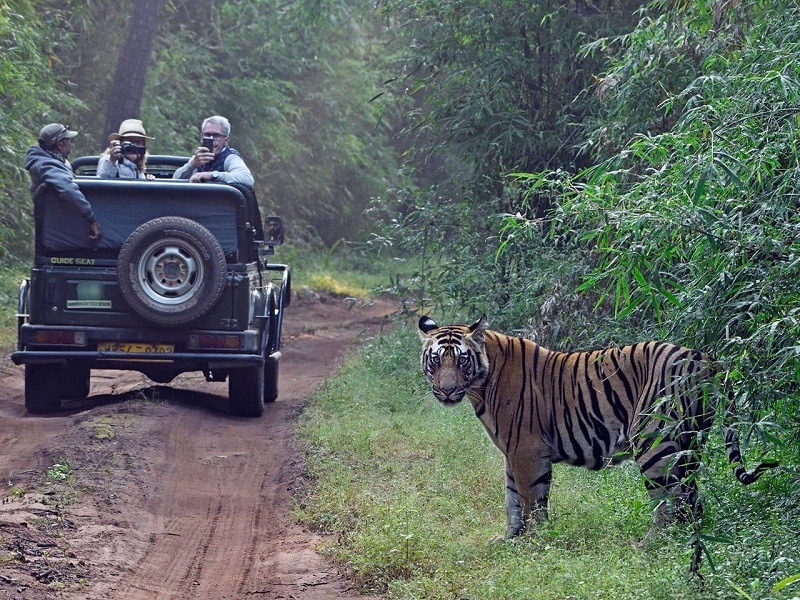 Satpura Royal wilderness Escape